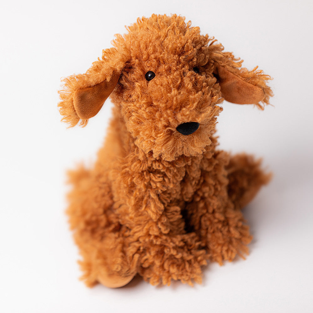 Cooper Doodle Dog